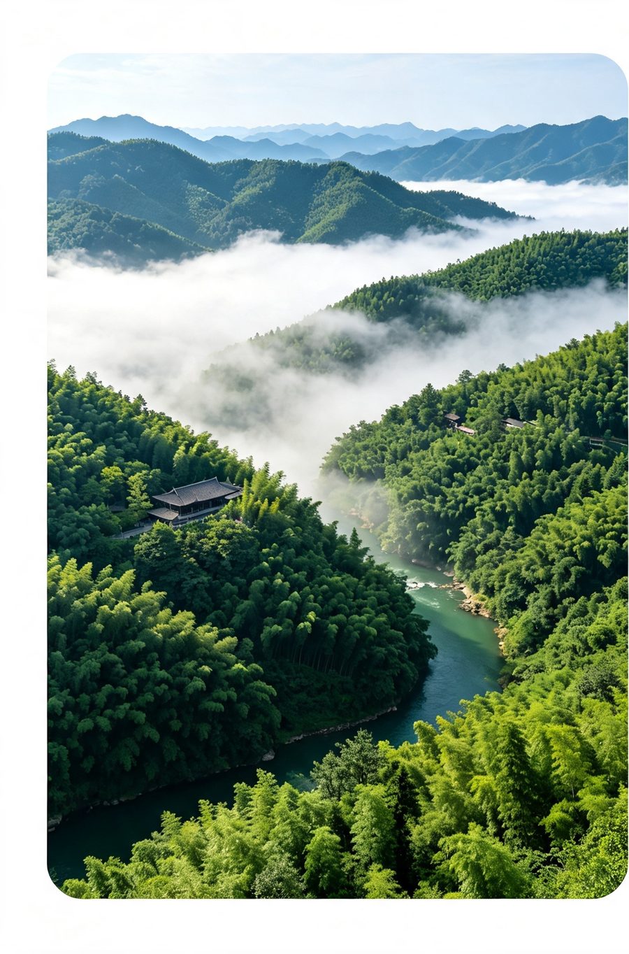 蜀南竹海